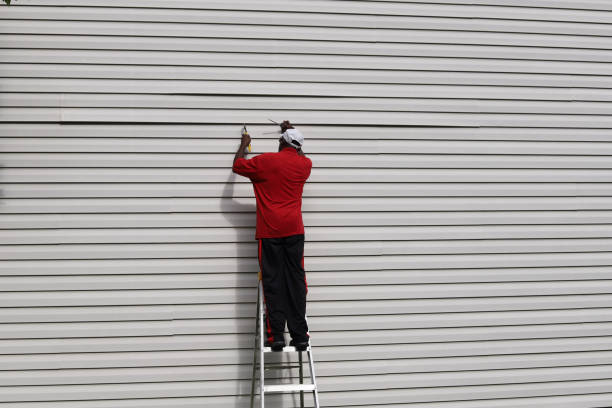 Best Siding Removal and Disposal  in Stapleton, AL